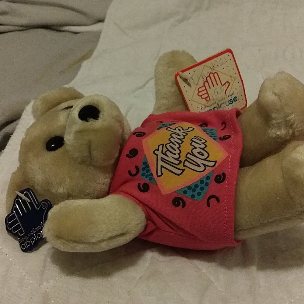 Teddy bear